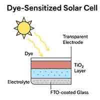 square FTO (Fluorine-doped Tin Oxide) substrate used in solar cells, showing transparent conductive coating