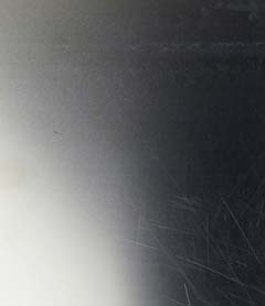 graphene deposited cvd on nickel foil