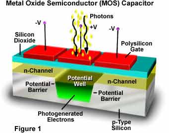 MOS capacitor illustrating a silicon oxide dielectric layer