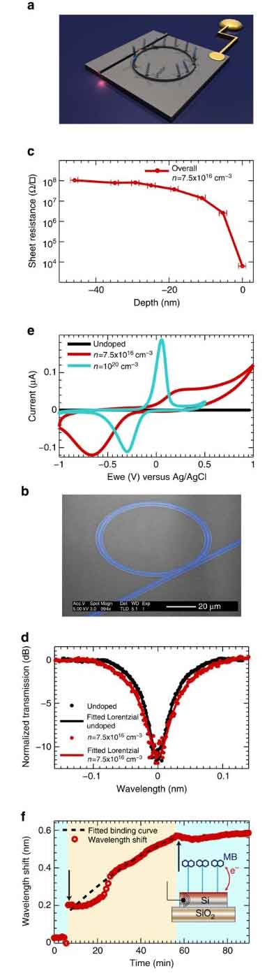 what is a silicon biosensor